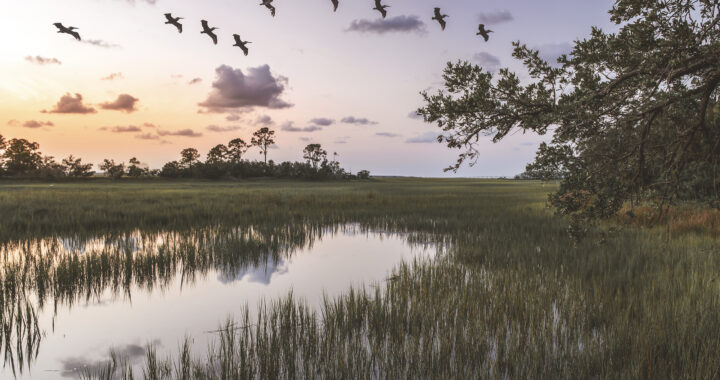 Salt marsh at dusk.